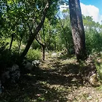 Casal Fontainhas- Country With Pool Σπίτι διακοπών Alcobaça
