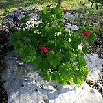 Casal Fontainhas- Country With Pool Σπίτι διακοπών *