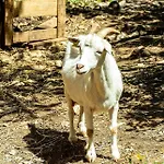 Casal Fontainhas- Country With Pool Σπίτι διακοπών