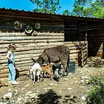 Casal Fontainhas- Country With Pool Σπίτι διακοπών Alcobaça