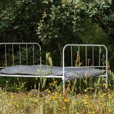 Casa de Férias Casal Fontainhas- Country With Pool