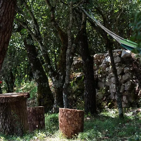 Casa de Férias Casal Fontainhas- Country With Pool *