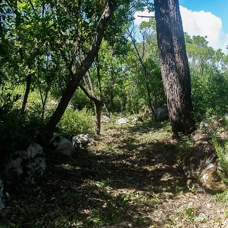 Casal Fontainhas- Country With Pool Casa de Férias Alcobaça