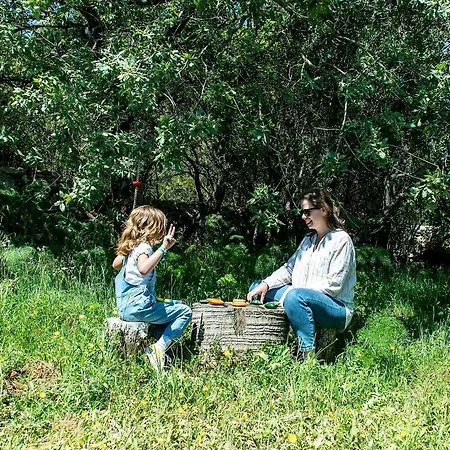 Casal Fontainhas- Country With Pool Casa de Férias