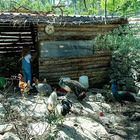 Casal Fontainhas- Country With Pool Casa de Férias Alcobaça