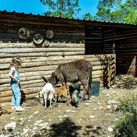Casal Fontainhas- Country With Pool Casa de Férias Alcobaça