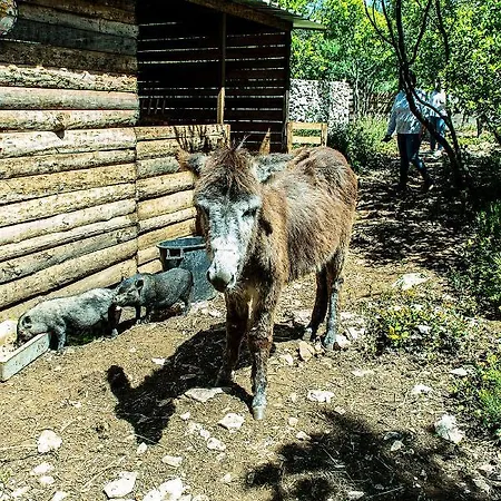 Casa de Férias Casal Fontainhas- Country With Pool Alcobaça