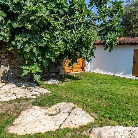 Casal Fontainhas- Country With Pool Casa de Férias