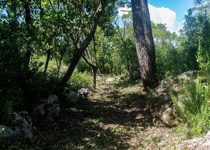 Casal Fontainhas- Country With Pool Дом отдыха Алкобаса