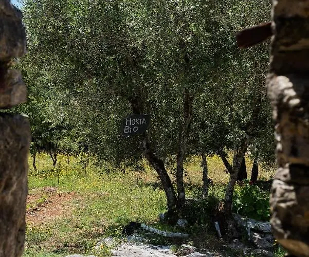 Casal Fontainhas- Country With Pool Алкобаса