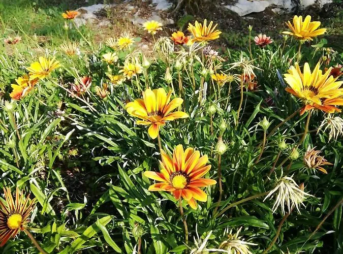 Casal Fontainhas- Country With Pool Дом отдыха Алкобаса