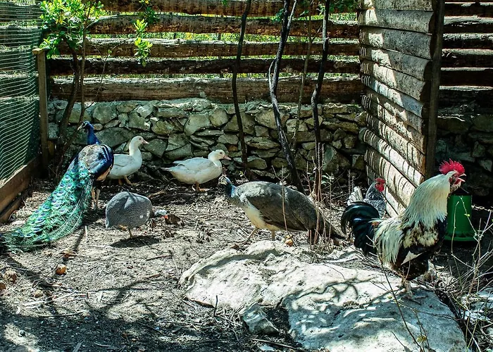 Casal Fontainhas- Country With Pool Дом отдыха Алкобаса