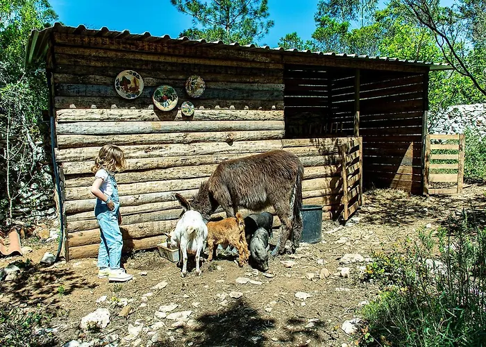 Casal Fontainhas- Country With Pool Dom wakacyjny Alcobaça