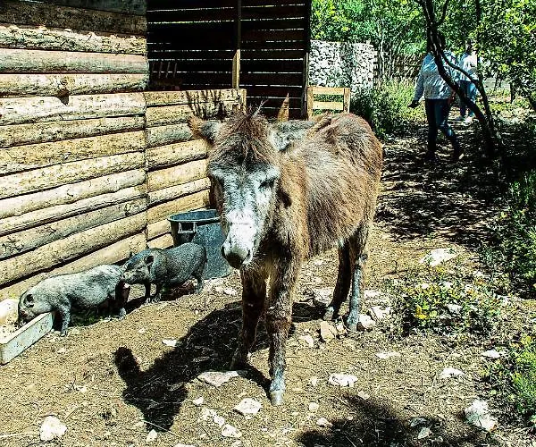 Дом отдыха Casal Fontainhas- Country With Pool Алкобаса