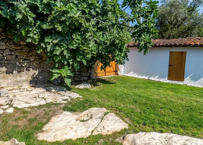 Casal Fontainhas- Country With Pool Dom wakacyjny